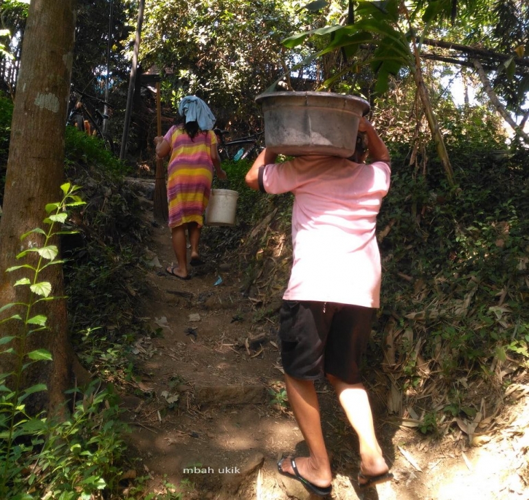 Pulang dari belik. Dokpri