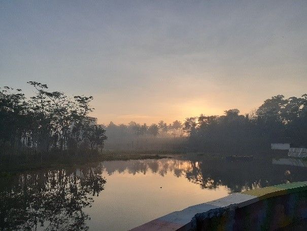 Foto Arsip Kegiatan