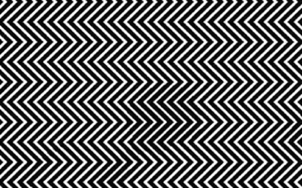 14681868-10205851998618937-3068980762894618118-n-5d1c562ece2809289122da54.jpg