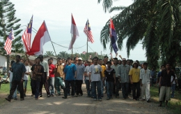 Tenaga Kerja Indonesia di salah satu perkebunan kelapa sawit Malaysia. (Dok. Pribadi)