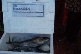 Ikan Cakalang kiriman dari Menteri Kelautan dan Perikanan Susi Pudjiastuti di Malang (dok pribadi Ivan Muchtar)