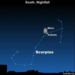 Scorpius (https://earthsky.org/constellations)