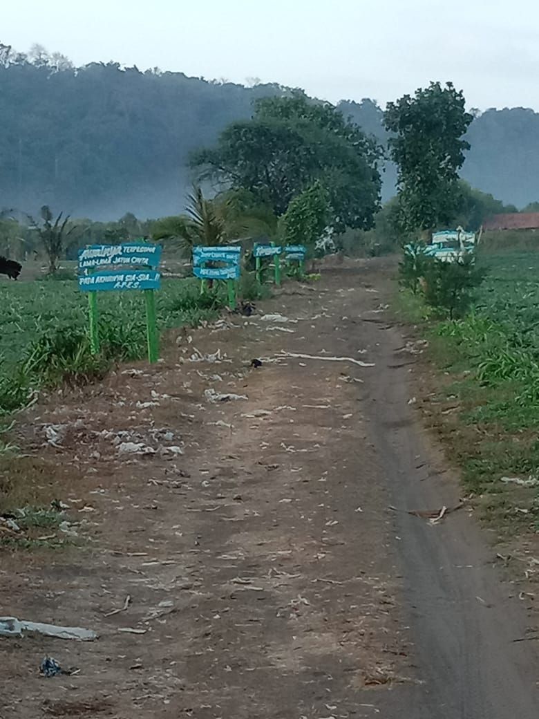 Deretan papan pesan menuju lokasi pantai. Dok pri