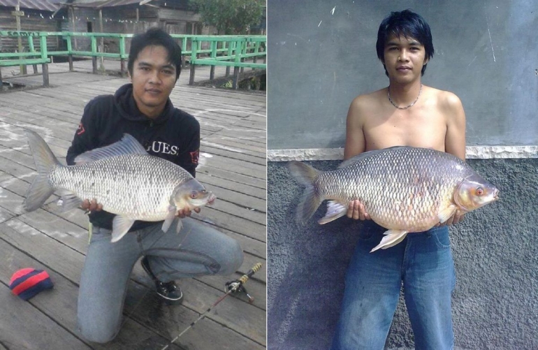Ikan Kalabau raksasa (Foto : FB Agustian Noor) 