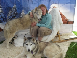 UK Wolf Conservation.Sumber: www.karluksiberianhuskies.org