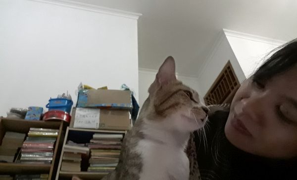 Sebelum atau seusai kerja, aku menyempatkan untuk menjalin koneksi dengan kucing-kucing di rumah (dokpri)