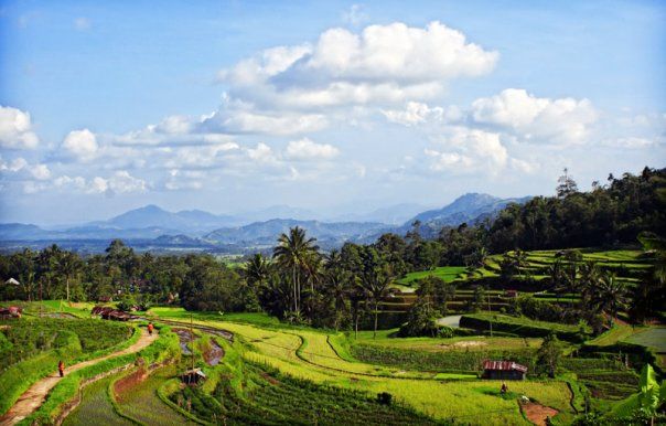 Panorama Tabek Patah (wisatasumbar.net)