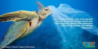 Kura-kura mengira kantong plastik adalah ubur-ubur (greenpeace.org)