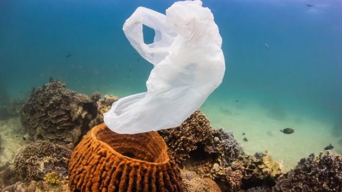 Kantong plastik di melayang di dalam laut (Sumber: manado.tribunnews.com)