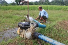 Petani mengairi sawah yang dilanda kekeringan menggunakan mesin pompa air di Desa Rantoe Panjang Barat Meureuboh Aceh (ANTARA/ Syifa Yulinnas