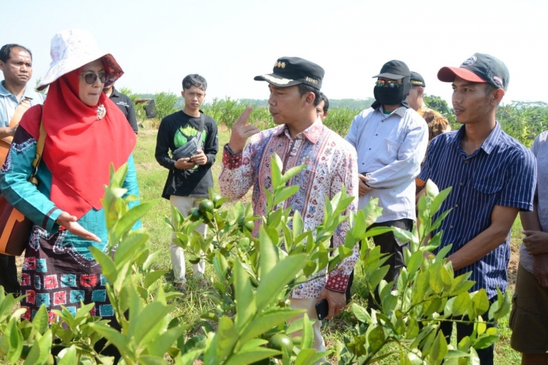 H.Wihaji,S.Ag,.M.Pd (Bupati Kabupaten Batang) mengunjungi lokasi rintisan agrowisata/dokpri