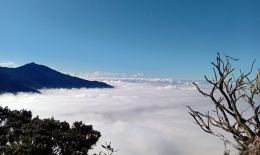 Hamparan lautan awan yang tersaji di jalur timur pendakian Latimojong. (Dokpri)