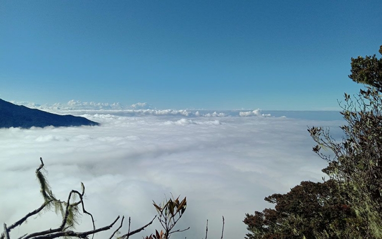 lautan awan terlihat dari punggungan bukit Katapu. (Dokpri)