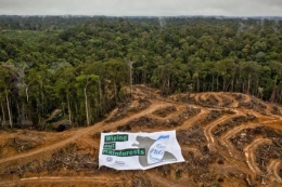 Sumber: http://www.satuharapan.com/read-detail/read/produsen-kertas-luncurkan-kebijakan-pengelolaan-hutan-lestari