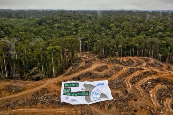 Sumber: http://www.satuharapan.com/read-detail/read/produsen-kertas-luncurkan-kebijakan-pengelolaan-hutan-lestari