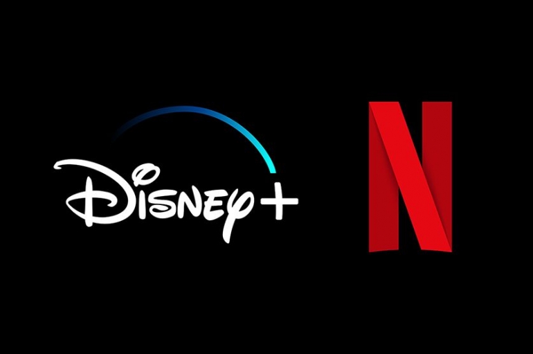 Disney+ diprediksi akan menjadi pesaing kuat bagi Netflix| Sumber Gambar: shelflife.co.za