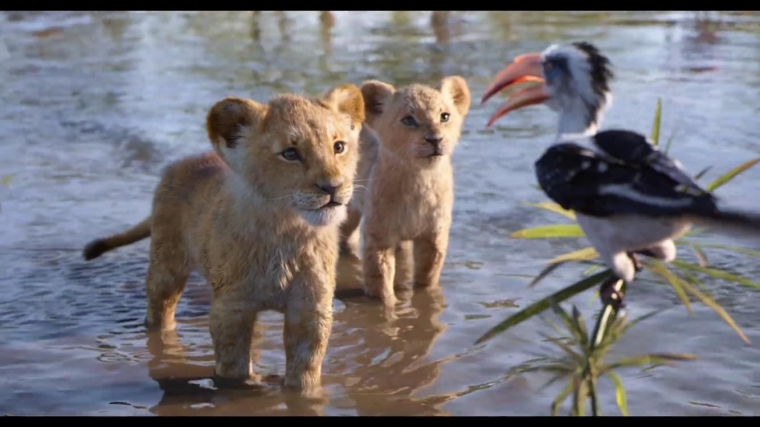 Zazu si enggang juga kocak | Dokumentasi: IMDb/Disney