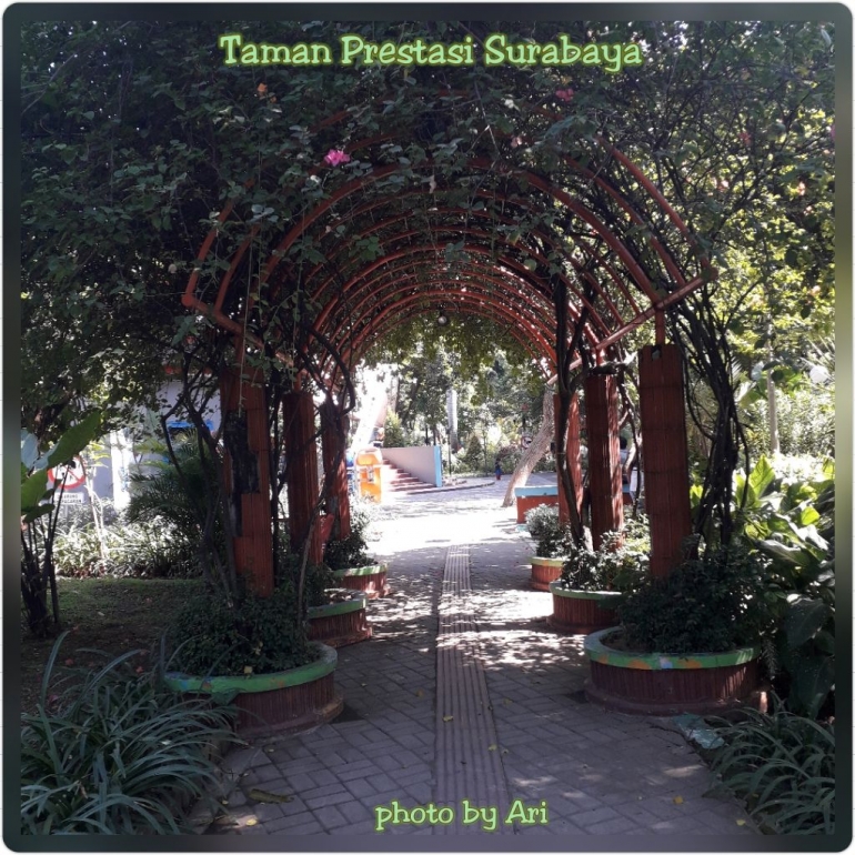 Kanopi tanaman di taman Prestasi Surabaya. Photo by Ari