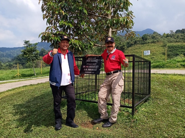 BUPATI Limapuluh Kota, Irfendi Arbi (kiri) di dekat pohon durian yang ditanam Presiden Joko Widodo. (FOTO: DOK. KORAN PADANG)