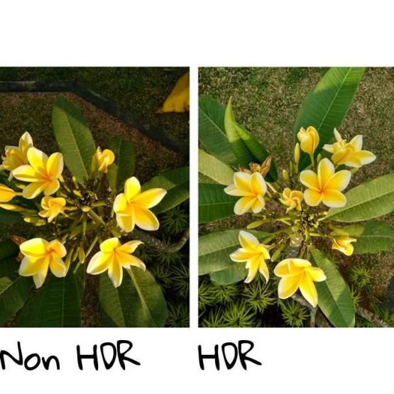 Perbandingan foto kamera hp xiaomi redmi 4 antara Hdr dan yang tidak - Dokpri