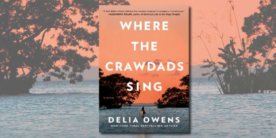 Where The Crawdads Sing, Novel Best Seller Versi New York Times (jackiekcooper.com)