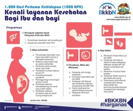 Layanan kesehatan bagi ibu dan bayi/bkkbn