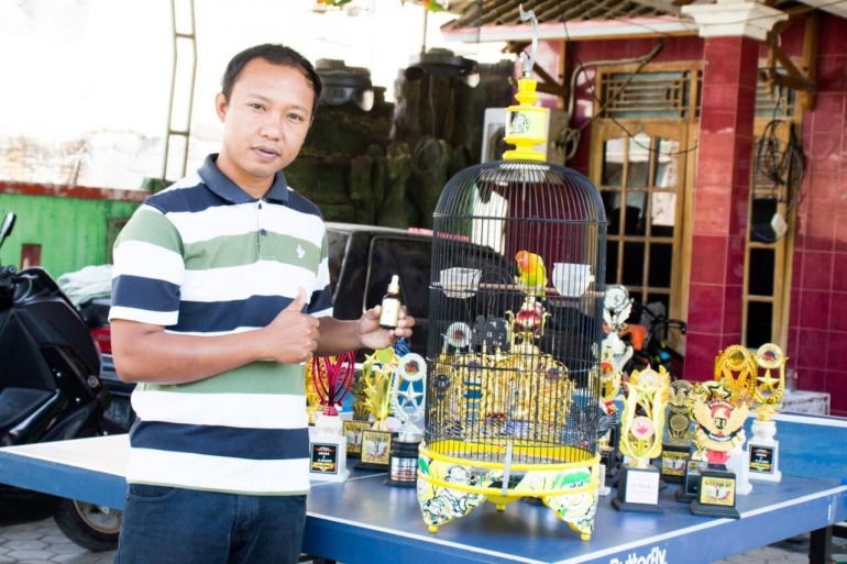 optimaxx vitamin burung juara