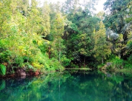 Danau Banaran di Kecamatan Sukorejo, foto oleh :  Hisabikaraulrezdian Rezdian (googlemap)