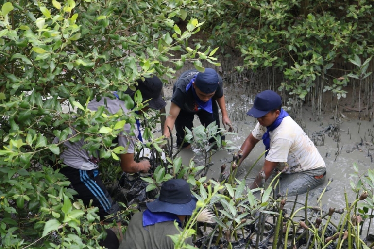Penanaman bibit Bakau di Hutan Mangrove Sei Nagalawan Serdag Bedagai Sumut (dok. mahasiswa fahutan USU Juli 2019)