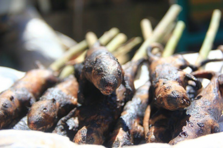 Kawok Daging Tikus Kuliner Tradisional Khas Minahasa Kawok Daging Tikus Kuliner Tradisional Khas Minahasa