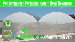 Greenhouse Desa Tlogowero (Dokpri)