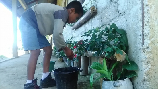 Membiasakan Peserta Didik Menyiram Tanaman | dokpri