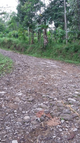 Jalan yang dilalui bebatuan dan berkelok, juga naik ke atas bukit. (Dok. Wahyu Sapta).