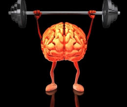 Jagalah otak agar sehat dan kuat (doc. John Seidel/ed.Wahyuni)