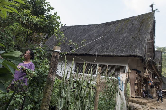 Penduduk Kampung Naga memetik sayur (foto: Antara)