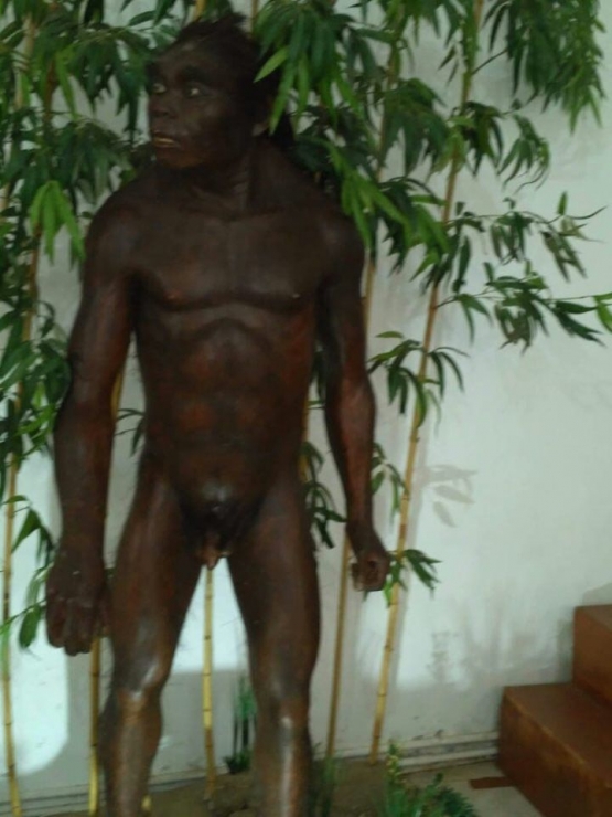 replika manusia purba di Museum Purbakala Patiayam foto dokpri