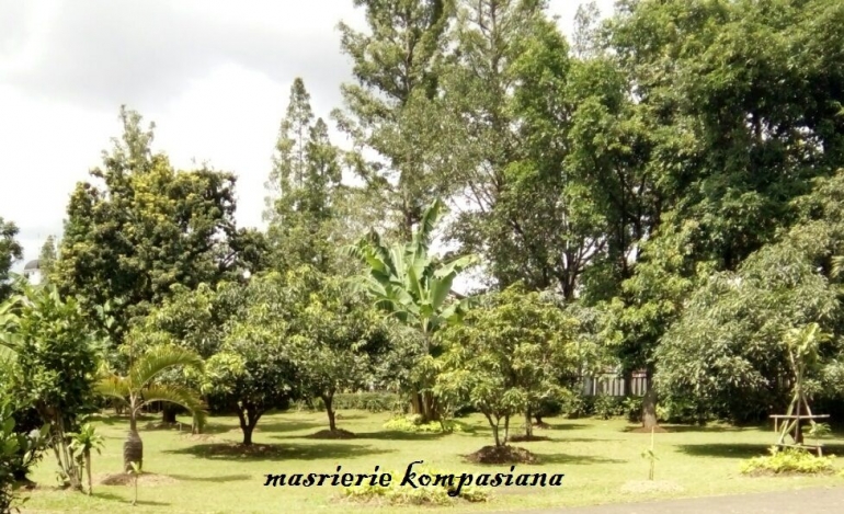 contoh pekarangan khas jadul di Bandung, lebih ramah lingkungan/dokpri
