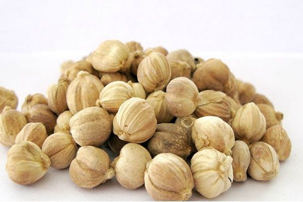 Mengenal Rempah rempah dan Aneka Resep Olahan Daging Mengenal Rempah rempah dan Aneka Resep Olahan Daging