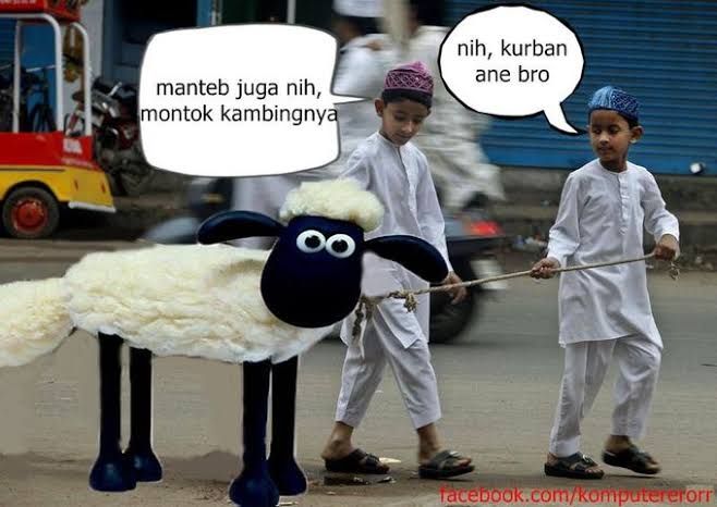 Sumber : https://m.pulsk.com