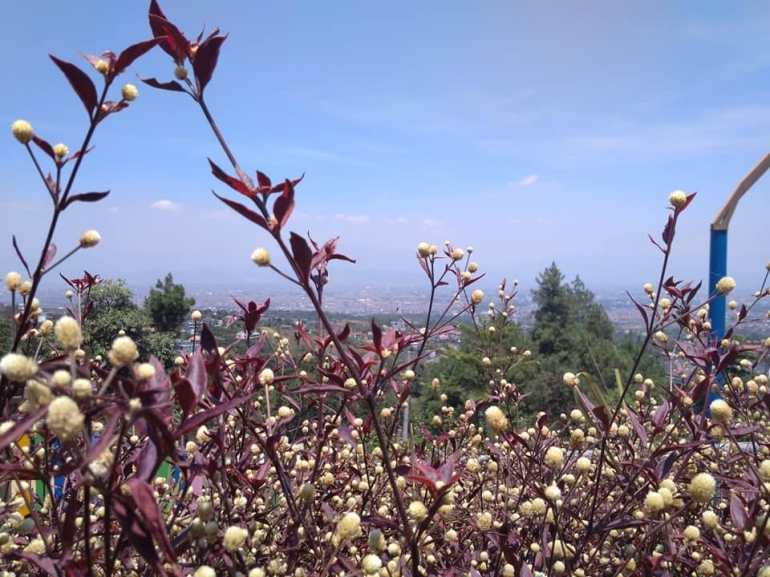 Negeri di Atas Awan Tempat Tinggal keluarga Kami (pict:dok.pribadi)