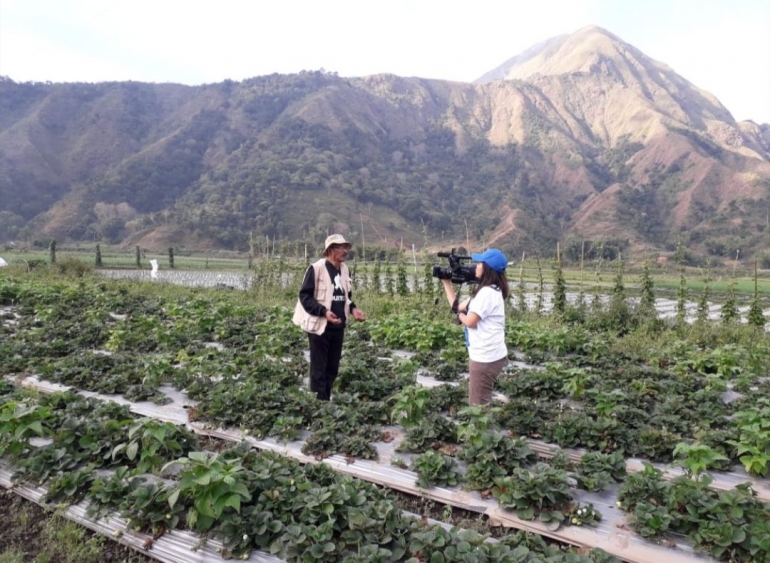 Ilustrasi: Penulis saat wawancara TVRI di Perkebunan Hortikultura Bukit Anak Dara Lombok 7/08/19. Sumber: Pribadi