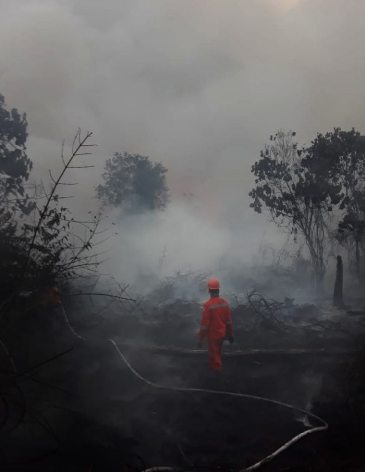 kebakaran hutan (dok. pribadi)