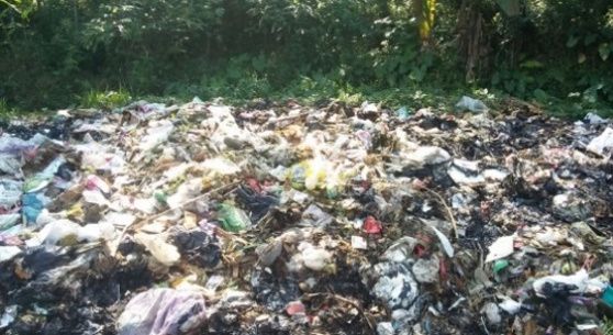 Gambar : Sampah di TPS Desa Reban