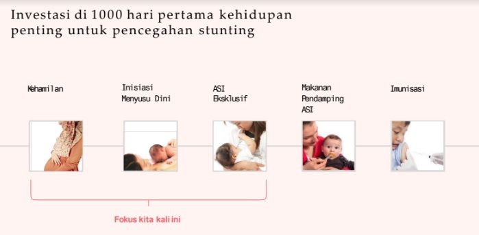 ASI merupakan Inestasi di 100 hari pretama kehidupan. Penting untuk mencegah stunting (sumber: makalah Kemenkes PAS 2019)