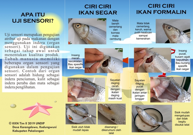 Leaflet Uji Sensori Ikan Segar dan Berformalin
