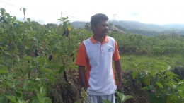 Didimus wodo Petani sukses asal Desa Were, kecamatan Golewa Selatan