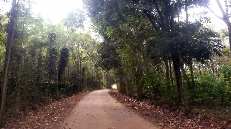 Jalan yang sudah mulus menuju makam (Sumber: Fakhrurrozi Atma Putra)