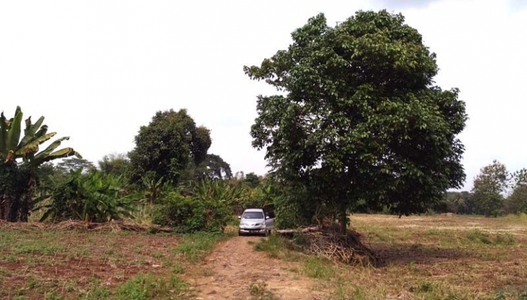 Jalan rusak menuju makam (Sumber: Fakhrurrozi Atma Putra)