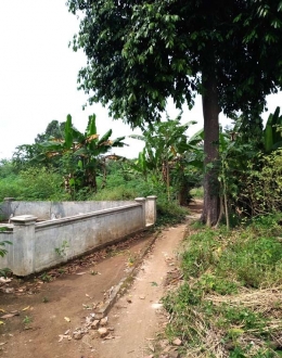 Kompleks makam istri Minak Semelasem dekat pohon besar (Sumber: J.Haryadi)
