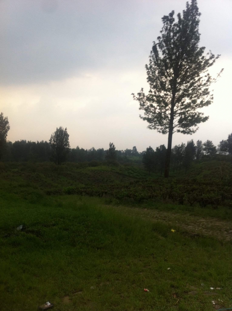 Setting novel Sandra di Puncak , Bogor